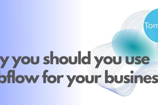 Why you should you use webflow for your business