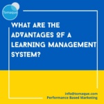 What are the advantages of a Learning Management System
